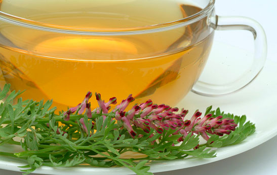 بررسی خواص شاتره در سلامتی! بررسی خواص شاتره در سلامتی!