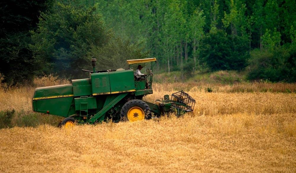 خرید تضمینی گندم از ۶میلیون تن گذشت خرید تضمینی گندم از ۶میلیون تن گذشت