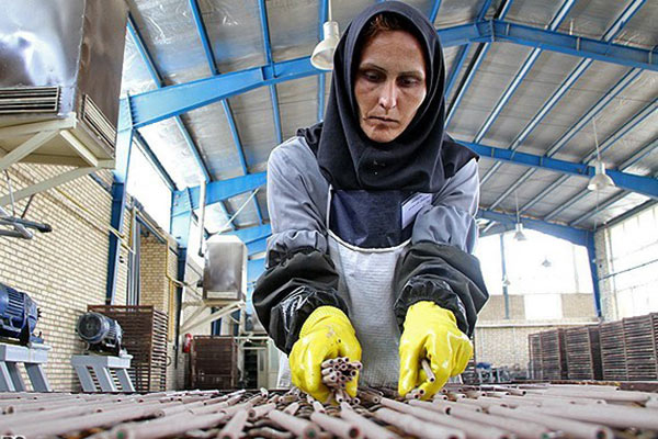 سایه اقتصاد مردانه بر سر اشتغال زنان سایه اقتصاد مردانه بر سر اشتغال زنان