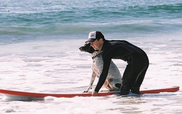 عجیب‌ترین مشاغل در دنیای سفر +عکس