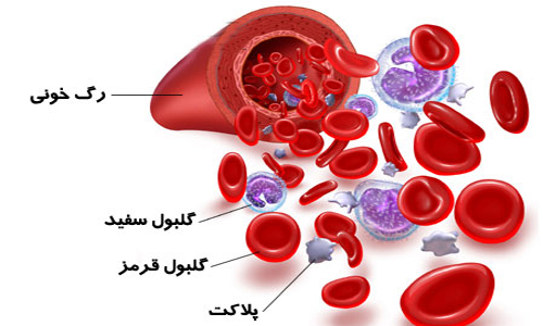 با دردسرهای کاهش پلاکت خون آشنا شوید با دردسرهای کاهش پلاکت خون آشنا شوید