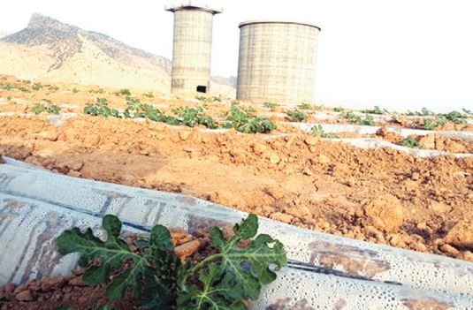 سپوی زمینگیر، میراث دولتهای نهم و دهم سپوی زمینگیر، میراث دولتهای نهم و دهم