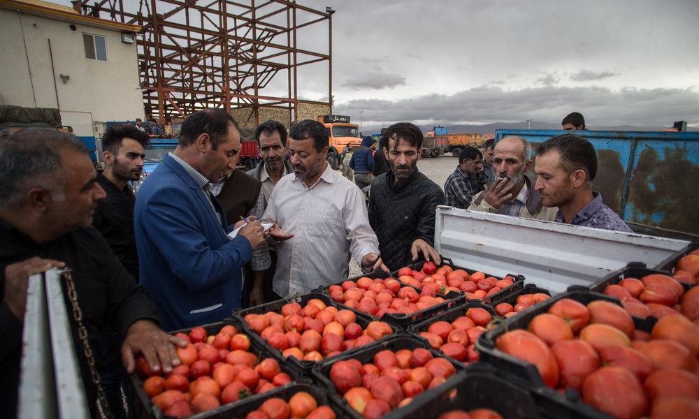 مجوز صادرات 15درصد گوجه فرنگی بزودی ابلاغ میشود مجوز صادرات 15درصد گوجه فرنگی بزودی ابلاغ میشود