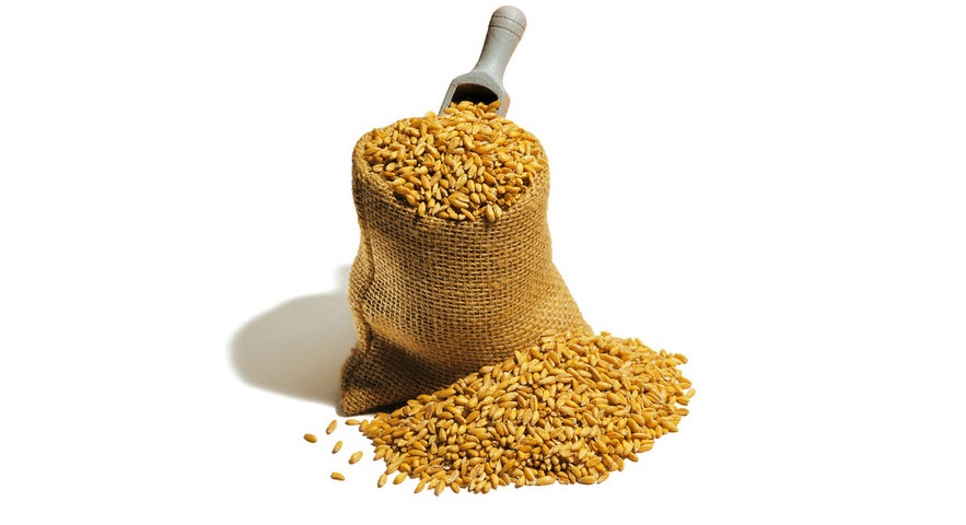 هفتهای سخت پیش روی مرغداران/ اختلال در تامین دان با ادامه گروکشیهای دولت و وارداتچی معروف! هفتهای سخت پیش روی مرغداران/ اختلال در تامین دان با ادامه گروکشیهای دولت و وارداتچی معروف!