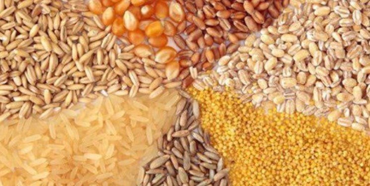 اختلال در واردات نهادههای دامی اختلال در واردات نهادههای دامی