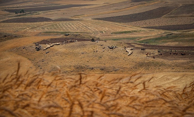 پیشبینی ۱۷هزار و ۷۸۲میلیارد تومان یارانه برای کالاهای اساسی پیشبینی ۱۷هزار و ۷۸۲میلیارد تومان یارانه برای کالاهای اساسی