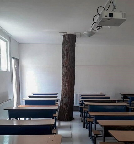 درختی که همپای دانشآموزان درس میخواند +تصاویر درختی که همپای دانشآموزان درس میخواند +تصاویر