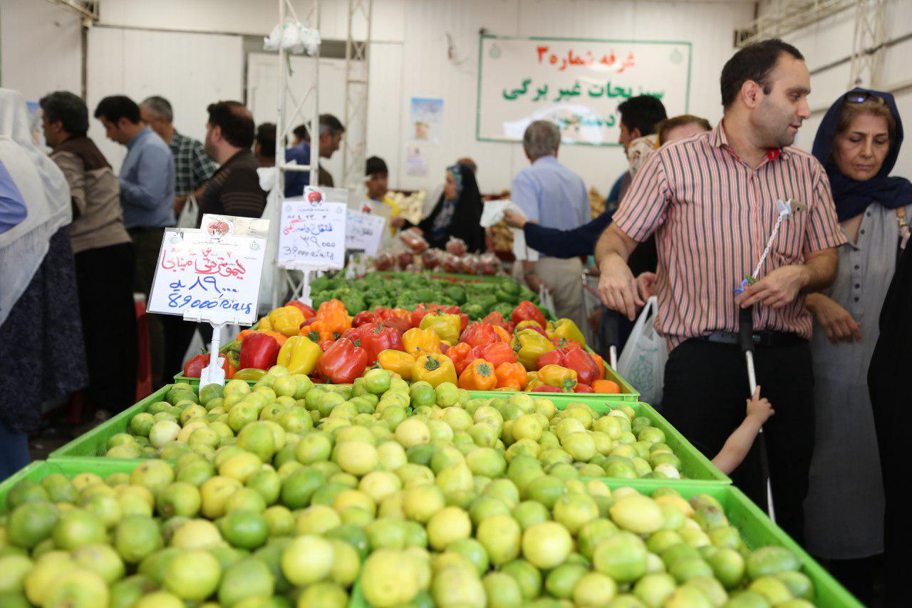 استارتاپها به کمک اصلاح چرخه توزیع میوه میآیند استارتاپها به کمک اصلاح چرخه توزیع میوه میآیند