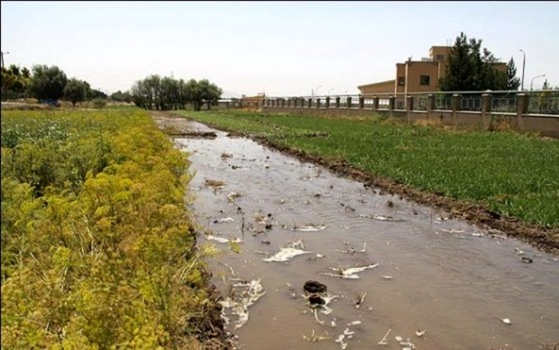 شکستگی لوله نفت به اراضی کشاورزی دهلران خسارت زد شکستگی لوله نفت به اراضی کشاورزی دهلران خسارت زد