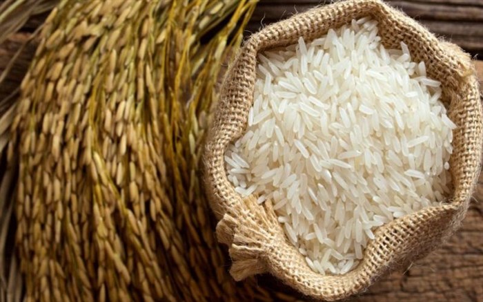 کدام ماده غذایی این روزها ارزان شده است؟ کدام ماده غذایی این روزها ارزان شده است؟