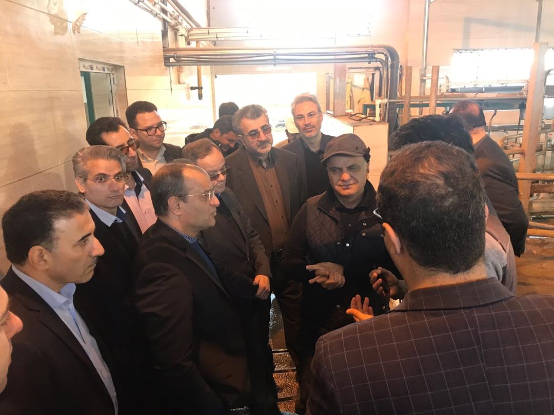 بازدید رئیس هیئتمدیره و مدیرعامل بانک توسعه تعاون از طرحهای اقتصادی استان قزوین بازدید رئیس هیئتمدیره و مدیرعامل بانک توسعه تعاون از طرحهای اقتصادی استان قزوین