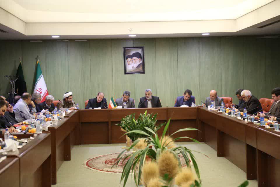 واردات گوشت تا متعادل شدن قیمتها در بازار ادامه دارد واردات گوشت تا متعادل شدن قیمتها در بازار ادامه دارد