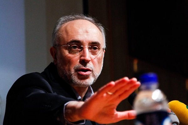 صالحی: ایران در زمینههای هستهای قادر به «طراحی» است صالحی: ایران در زمینههای هستهای قادر به «طراحی» است