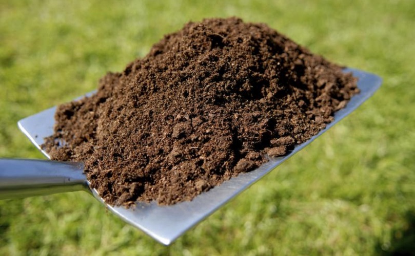 انتظار 12ساله برای ممنوعیت صادرات خاک انتظار 12ساله برای ممنوعیت صادرات خاک