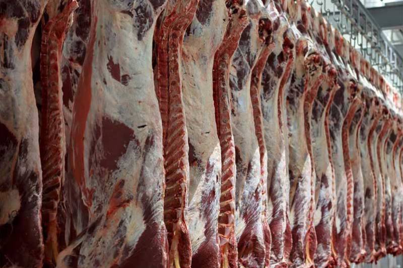 واردات گوشت برزیلی ادامه دارد واردات گوشت برزیلی ادامه دارد