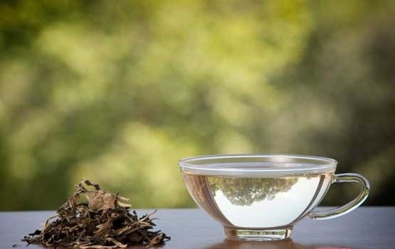 آشنایی با خواص چای سفید آشنایی با خواص چای سفید