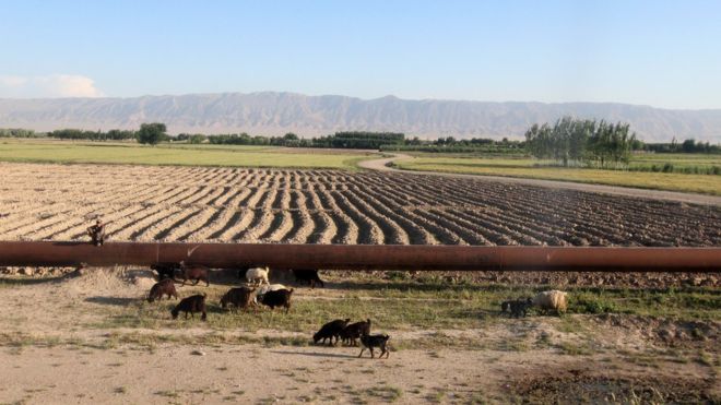 طالبان خط لوله انتقال گاز جوزجان به مزارشریف را قطع کردند طالبان خط لوله انتقال گاز جوزجان به مزارشریف را قطع کردند