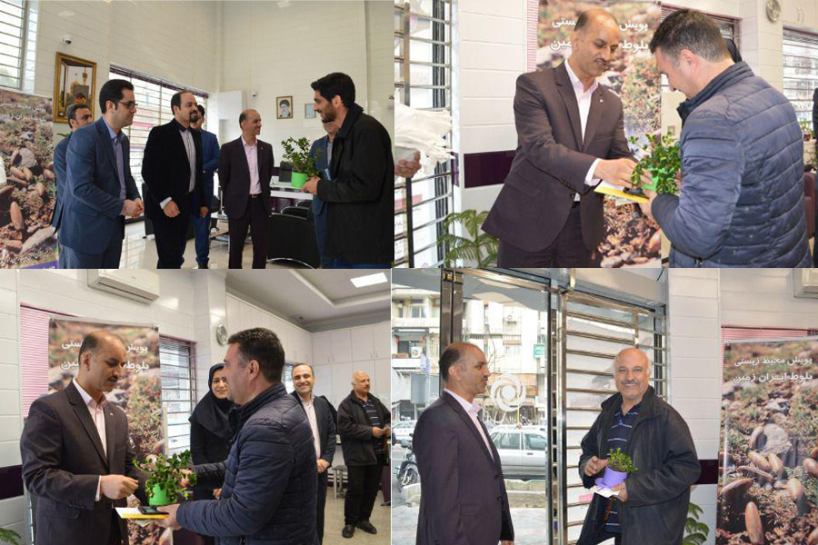 هدیه نهال به مشتریان بانک ایران زمین هدیه نهال به مشتریان بانک ایران زمین
