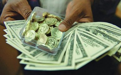 دولت مانند موسسات مالی به ضرر کنندگان دلار کمک نخواهد کرد دولت مانند موسسات مالی به ضرر کنندگان دلار کمک نخواهد کرد