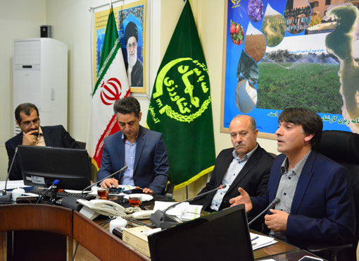 سهم ۴۵ درصدی بخش کشاورزی از منابع ۱.۵ میلیارد دلاری اشتغال و تولید در مناطق روستایی و عشایری سهم ۴۵ درصدی بخش کشاورزی از منابع ۱.۵ میلیارد دلاری اشتغال و تولید در مناطق روستایی و عشایری