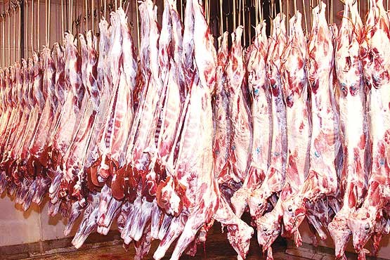 عرضه روزانه ۱۰۰تن گوشت گوسفندی در تهران عرضه روزانه ۱۰۰تن گوشت گوسفندی در تهران