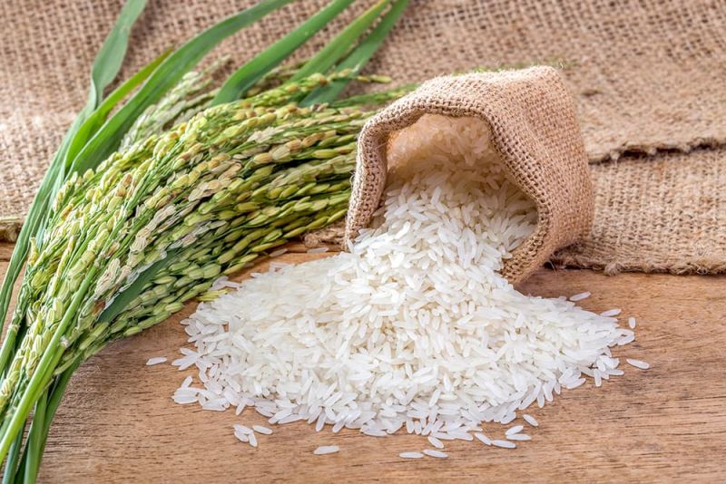 مظنه گرانترین و ارزانترین برنج داخلی و وارداتی؟/ بررسی نوسانات قیمت برنج در 15ماه گذشته مظنه گرانترین و ارزانترین برنج داخلی و وارداتی؟/ بررسی نوسانات قیمت برنج در 15ماه گذشته