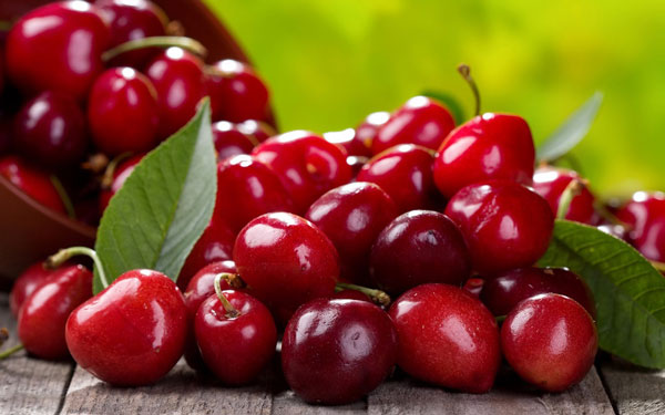چطور میشود از دور ریز میوهها پول درآورد؟ چطور میشود از دور ریز میوهها پول درآورد؟
