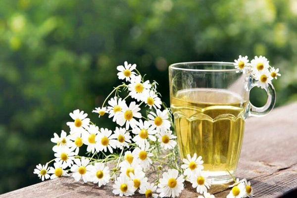 سمزدایی از دستگاه گوارش با کمک چای سمزدایی از دستگاه گوارش با کمک چای