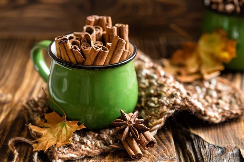 به جای آنتی بیوتیک دارچین بخورید به جای آنتی بیوتیک دارچین بخورید