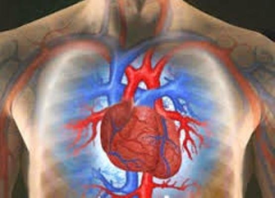 شیوع بیماری های قلبی در کشور شیوع بیماری های قلبی در کشور