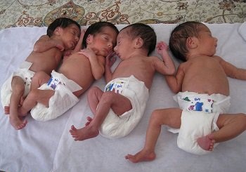 اضافه شدن ناگهانی یک قل به سهقلوها! اضافه شدن ناگهانی یک قل به سهقلوها!