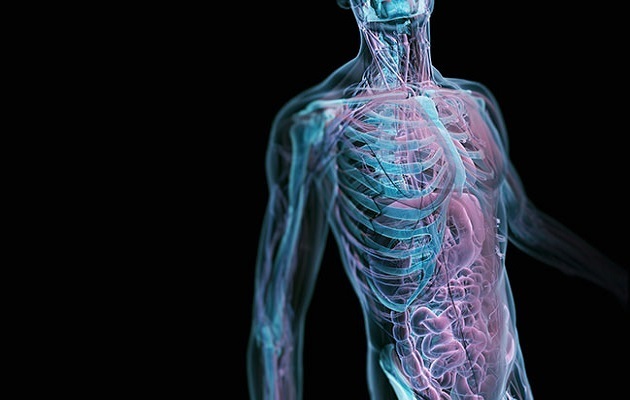 چند موجود زنده در بدن ما زندگی میکنند؟ چند موجود زنده در بدن ما زندگی میکنند؟