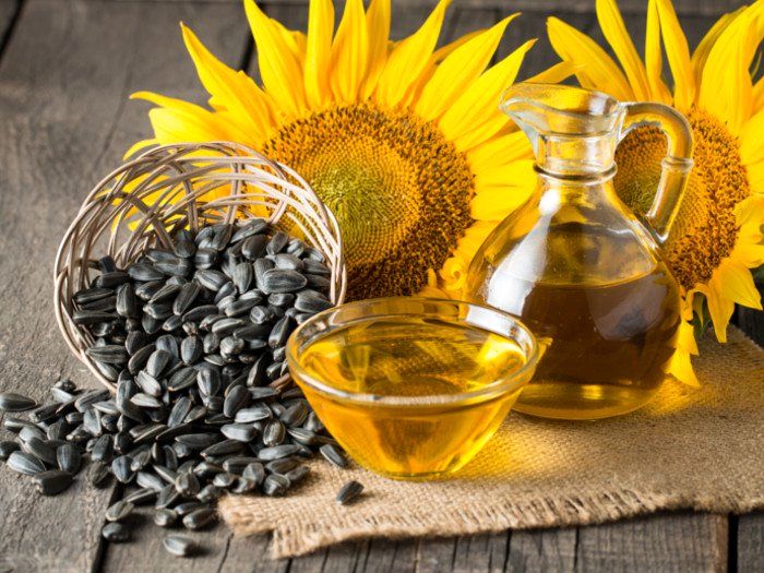چرا روغن آفتابگردان بهتر از روغنزیتون است؟ چرا روغن آفتابگردان بهتر از روغنزیتون است؟