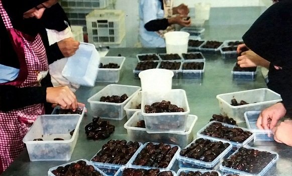 فراوری خرما؛ صنعتی که نمیتوان نادیده گرفت فراوری خرما؛ صنعتی که نمیتوان نادیده گرفت