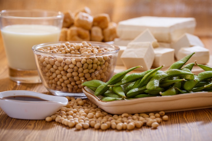 5ماده طبیعی برای کنترل یائسگی 5ماده طبیعی برای کنترل یائسگی