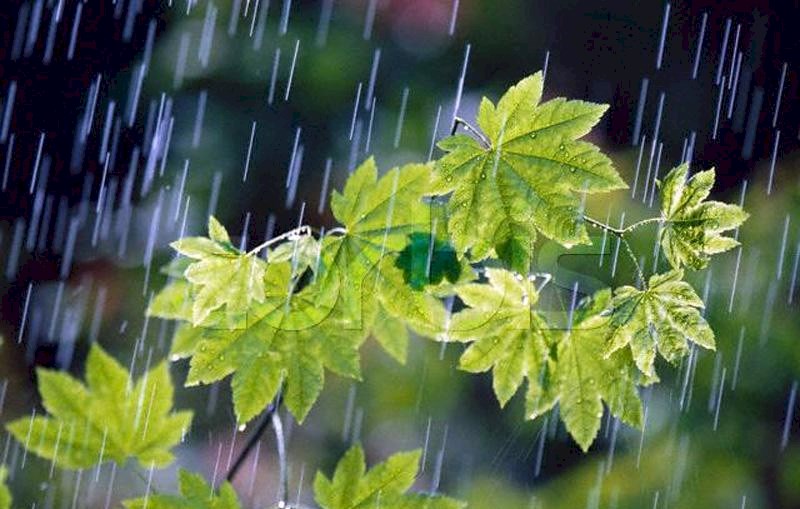 پیشبینی بارندگی بیش از حد پیشبینی بارندگی بیش از حد