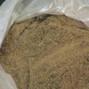 تفاله کارخانههای روغن زیتون خوراک دامها میشود/ امسال تولید زیتون به 90هزارتن میرسد تفاله کارخانههای روغن زیتون خوراک دامها میشود/ امسال تولید زیتون به 90هزارتن میرسد