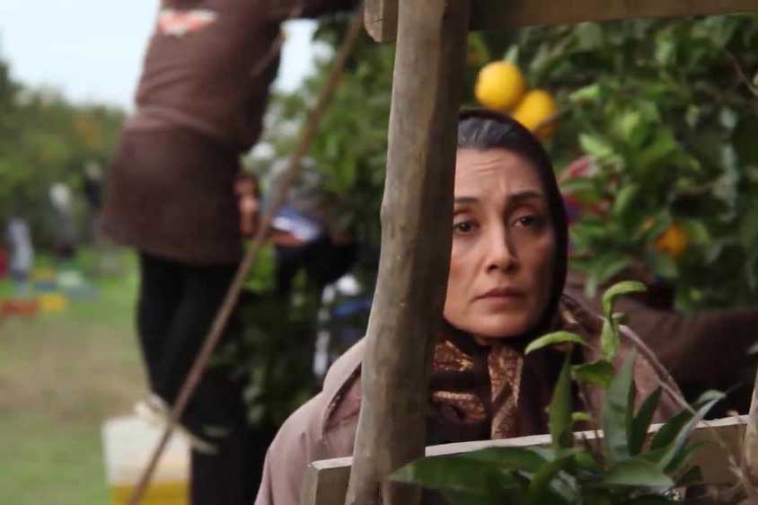 بازیگر زن ایرانی برگزیده جشنواره تورنتو شد +عکس بازیگر زن ایرانی برگزیده جشنواره تورنتو شد +عکس