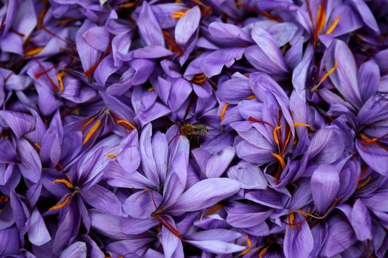 کاهش ۲۰ هزار تومانی وجه تضمین اولیه قرارداد آتی نگین زعفران کاهش ۲۰ هزار تومانی وجه تضمین اولیه قرارداد آتی نگین زعفران