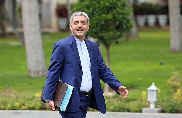 طیب نیا رسما عضو شورای پول و اعتبار شد طیب نیا رسما عضو شورای پول و اعتبار شد