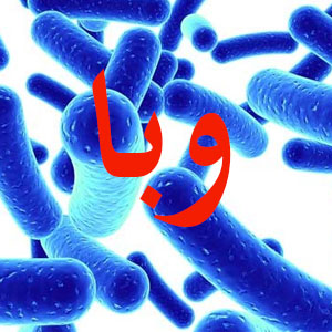 وبا چگونه منتقل میشود؟ وبا چگونه منتقل میشود؟