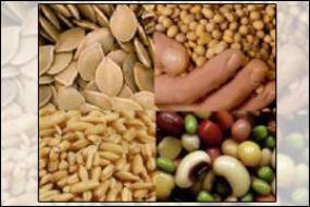 قیمت جهانی مواد غذایی ارزانتر شد قیمت جهانی مواد غذایی ارزانتر شد