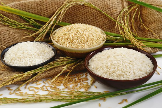 برنج تقلبی چیست و چگونه آن را تشخیص بدهیم؟! برنج تقلبی چیست و چگونه آن را تشخیص بدهیم؟!