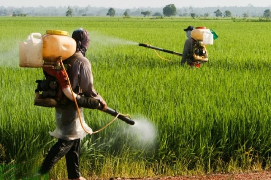 بررسی سموم مصرفی تولیدات کشاورزی استان تهران بررسی سموم مصرفی تولیدات کشاورزی استان تهران