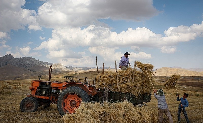 برای مصرف 9ماه کشور ذخیره گندم داریم/ آغاز خرید تضمینی گندم سال جاری تا 4ماه دیگر برای مصرف 9ماه کشور ذخیره گندم داریم/ آغاز خرید تضمینی گندم سال جاری تا 4ماه دیگر
