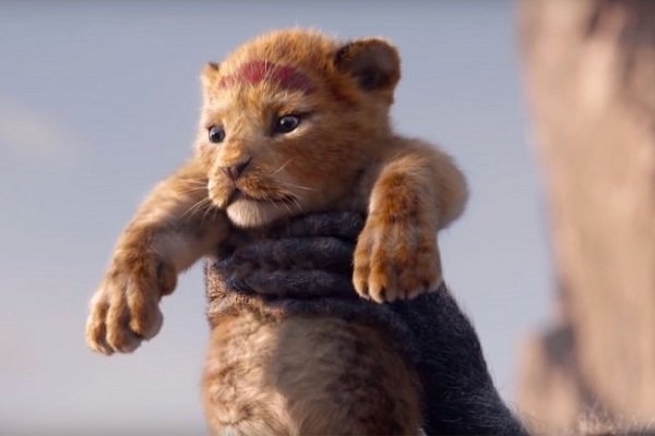 «شیرشاه» پربینندهترین تیزر تاریخ سینما شد «شیرشاه» پربینندهترین تیزر تاریخ سینما شد