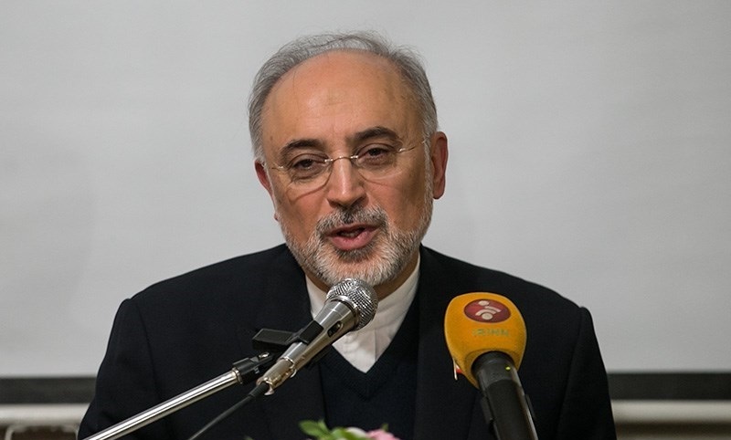 تأکید صالحی بر تداوم تعاملات سازنده با اروپا در زمینه همکاری صلحآمیز هستهای تأکید صالحی بر تداوم تعاملات سازنده با اروپا در زمینه همکاری صلحآمیز هستهای