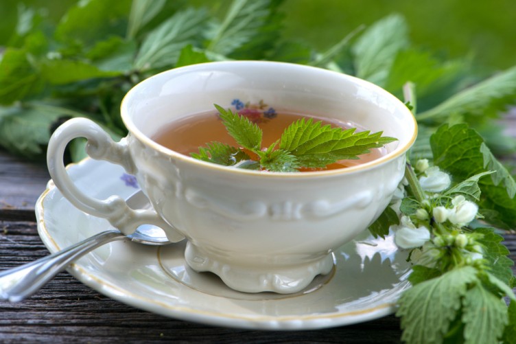 مروری بر 15خاصیت گیاه گزنه مروری بر 15خاصیت گیاه گزنه