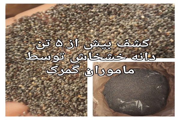 کشف بیش از ۵تن دانه خشخاش در یک تریلر