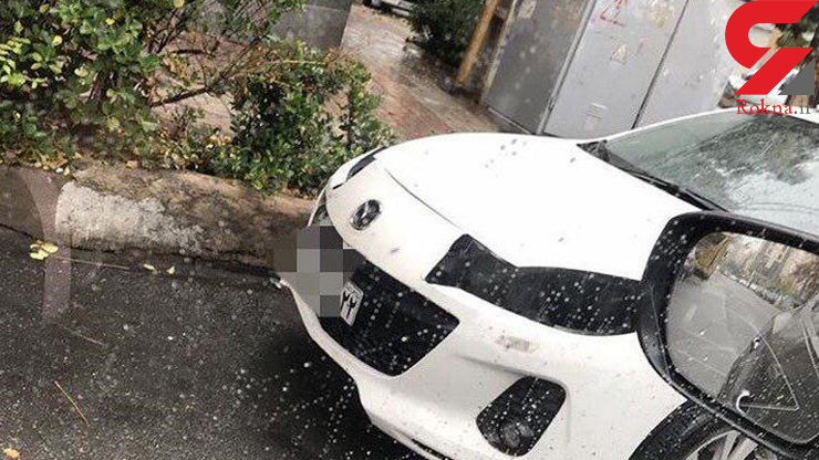 چرا سارقها عاشق مزدا٣ شدهاند؟ +عکس چرا سارقها عاشق مزدا٣ شدهاند؟ +عکس